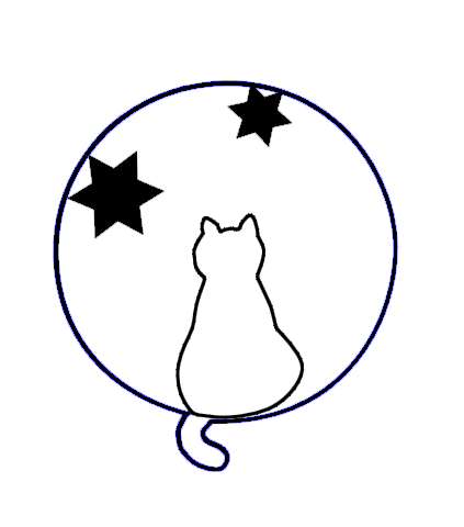 gato e estrelas